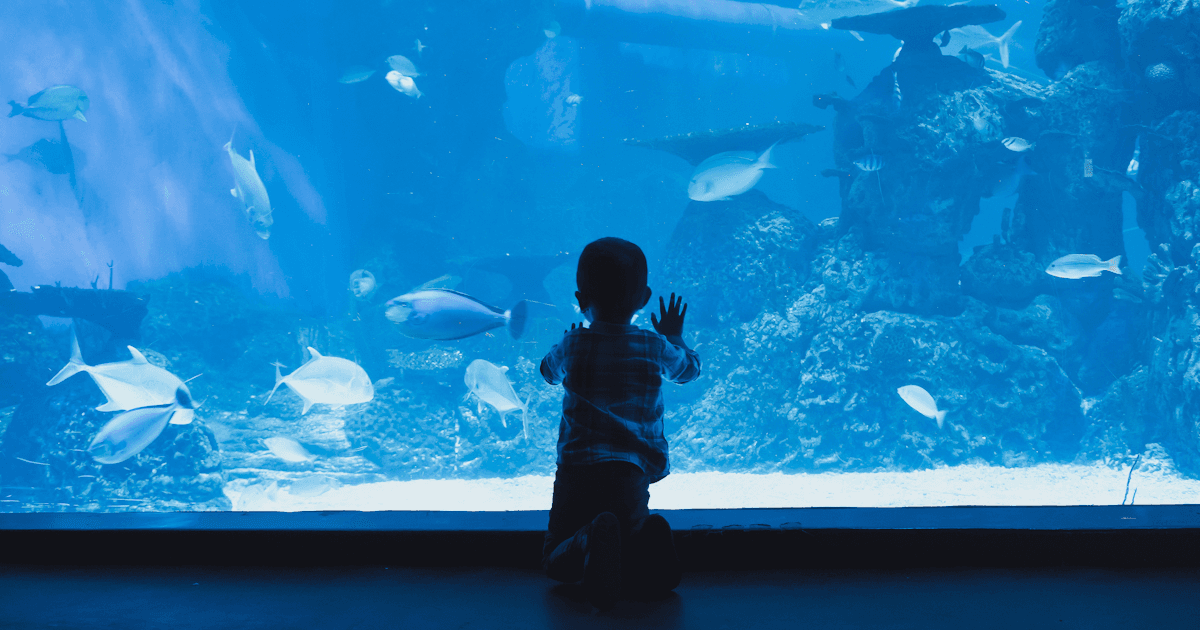 Taking the Kids to Taiwan This Summer? 12 Arts & Culture Stops They'll Actually Love